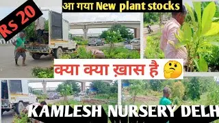 Kamlesh nursery Delhi new plants stock/ july month buying plants