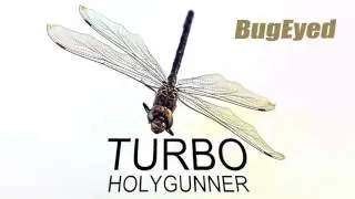 Holygunner - Hava Nagila [Electro House] [BugEyed Records]