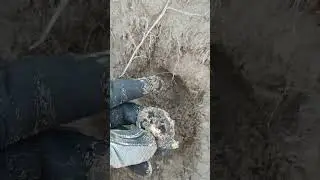 #גלאי #detectors #metaldetecting #history