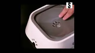 Gamelle eau anti splash