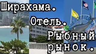 Ширахама. Отель. Рыбный рынок.
