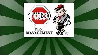 Green Pest Control Services in MANHATTAN , NY