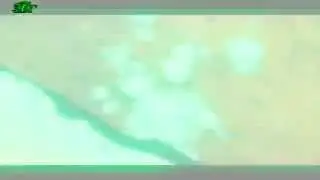 3GF-Leha Belogub(Mini Clip)