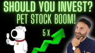 Pet Stock BOOM! | Bark Box SPAC vs Chewy Stock Analysis