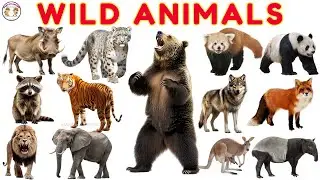 30 диких животных для детей 🦁 | Сафари в джунглях | Изучаем названия диких животных со звуками | ...