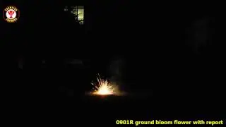 0901R Ground Bloom Flower with Report