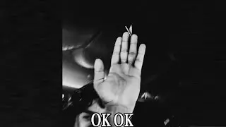 Fred again.., Danny Brown, BEAM, PARISI & JPEGMAFIA - OK OK Lyrics