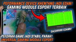 GACORRR MAXIMAL! Module Gaming Esport Terbaik No Party Esport - Stabil Poll Buat Gaming