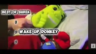BEST MOMENTS OF SHREK