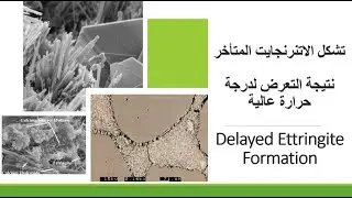 6- تشكل الاترنجايت المتأخر Delayed Ettringite Formation (DEF)