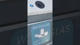 Wasps
