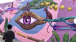 Augmented reality mural animation located in Fawkner Melbourne for City of Moreland