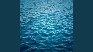 Harbor Twinkleweb