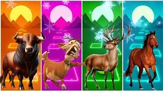 Funny Bull 🐂🆚 Funny Goat 🐐🆚 Funny Deer 🫎🆚 Funny Horse 🐎🆚 Tiles Hop EDM Rush