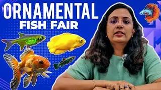 DR. BABITHA RANI | ORNAMENTAL FISH EXHIBITION | ICAR-CIFE | AQUARIUM FISH EXHIBITION | AQUARIUM FISH