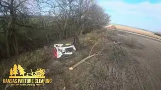 Kansas Pasture Clearing