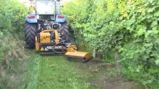 Diserbo meccanico in vigneto