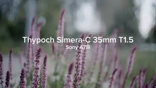 Thypoch Simera-c 35mm T1.5 | Sony a7iii