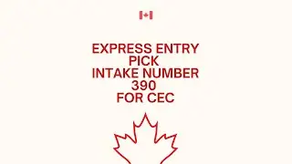 Most Recent Express Entry Pick bearing Intake number 390 for CEC
