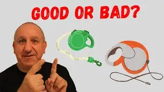 What is my opinion about retractable leashes.