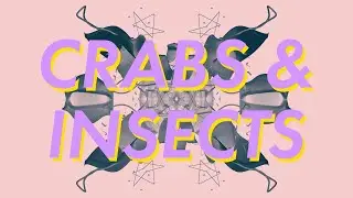 Crabs and Insects - UE4, Maya, Generative Art