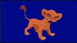 Free to use lion King 2 green screen