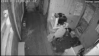 Lola's Home - Home Cam- My Everyday life
