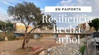 😳 Así esta Paiporta y el Barranco del Poyo! Luego de varios días lloviendo! 29/12/2025