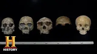 Ancient Aliens: EVIDENCE OF ALIEN INFLUENCE ON HUMAN EVOLUTION (Season 14) | History
