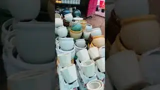 Nursery visit | varieties of plants and planters | #shorts #trending #plants #nursery #viral #nature