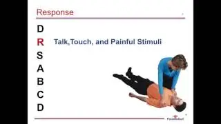 Patient Assessment and Scene Size up