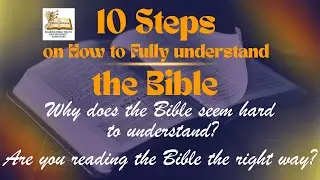 10 Steps on How to Fully Understand the Bible | Read-Along Devotional
