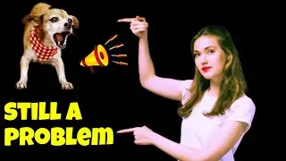 Barking Alone is Reason Enough to BAN DOGS