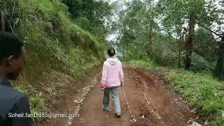 Rainforest Trek To Materuni Waterfall