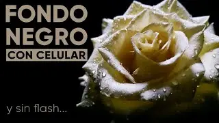 Fotos en FONDO NEGRO con CELULAR y sin flash