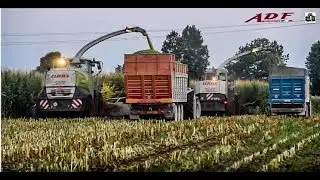 Jaguar 900 VS jaguar 960 - agromeccanica ADF