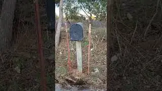 Bat Proof Mailbox?