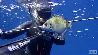 pescasub | Arbalete C4 Mr. Dark 104 - Prova in mare Agguato e Aspetto