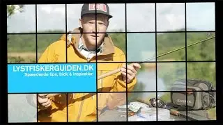 Makrelfiskeri fra Hvide Sande - Lystfiskerguiden.dk