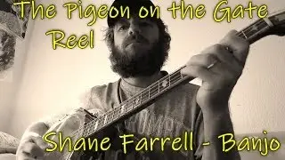 The Pigeon on the Gate Reel
