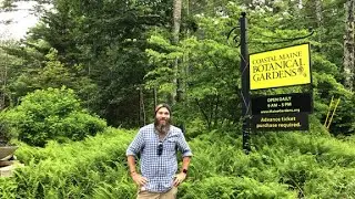 HD 1080p - POV Stroll through Coastal Maine Botanical Gardens, 35 Mins, Treadmill Scenery, No Music