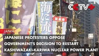 Japanese Protesters Oppose Government's Decision to Restart Kashiwazaki-Kariwa Nuclear Power Plant