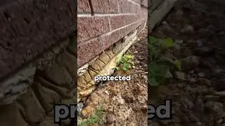 Building Slabs and Bricks