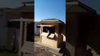 Kiosque en bois &agrave; tibar ( maison en bois Tunisie )