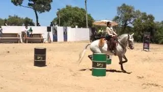 A estreia da Nicole e do Estribo!