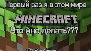 Minecraft. Прямая трансляция пользователя NSKMax Games