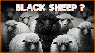 BLACK SHEEP - உருவான கதை இதுதானா? | black sheep | black sheep war | Project Isabela | Goat War |