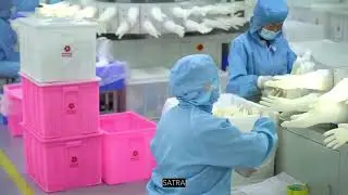 Brown Surgical Gloves High-Quality Sterile Gloves from Guilin HBM Health Protections