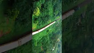 4K Free Stock Footages | #freevideosforyoutube  | video library |#freevideo#freevideosforyoutube