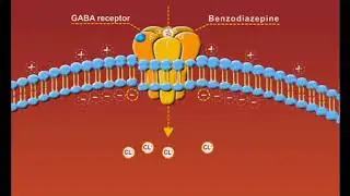 Benzodiazepines animation: sedatives and hypnotics